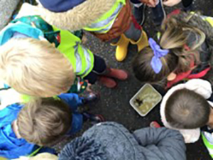 children looking at frogs